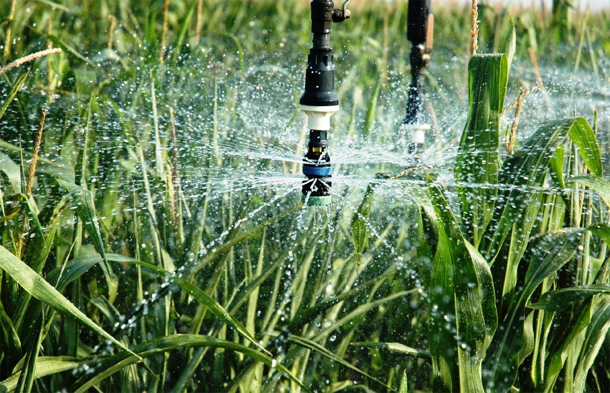 Aktueller Firmenfall über Städtischer Rasen-intelligentes Bewässerungssystem
